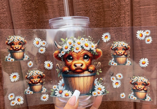 🐮 16-24 oz. Highland Cow & Daisies Cup