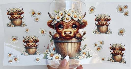 🐮 16-24 oz. Highland Cow & Daisies Cup