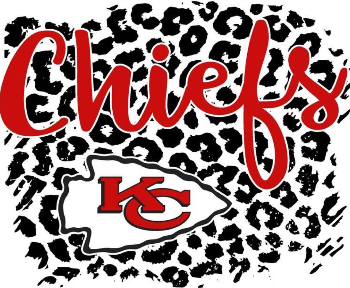 #3 - Cheetah