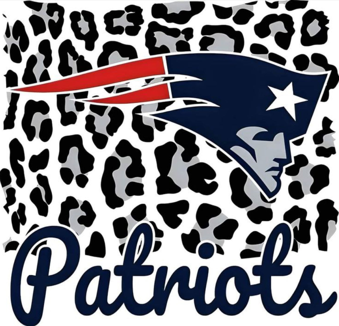 #3 - Cheetah